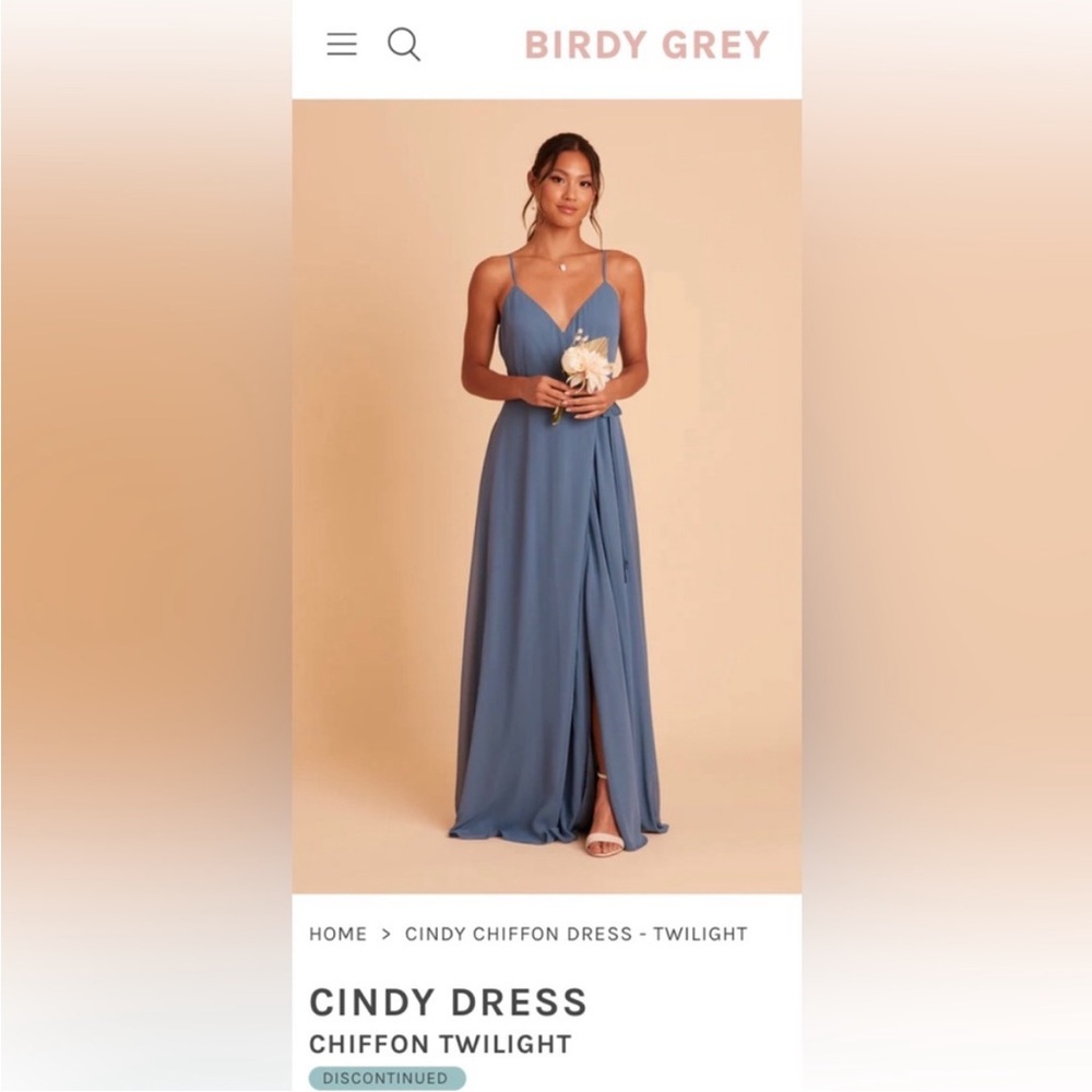 Birdy Grey Cindy dress, Chiffon, “twilight” color